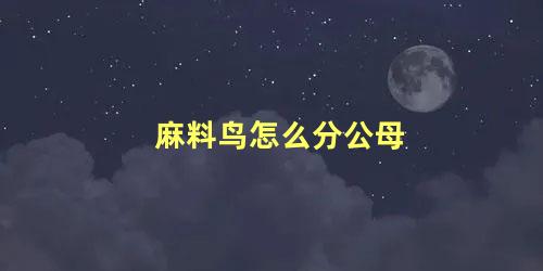 麻料鸟怎么分公母
