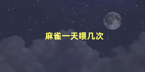 麻雀一天喂几次