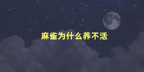 麻雀为什么养不活