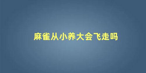 麻雀从小养大会飞走吗