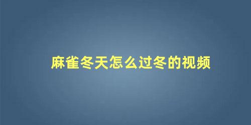 麻雀冬天怎么过冬的视频