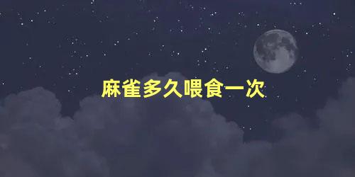 麻雀多久喂食一次