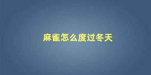 麻雀怎么度过冬天