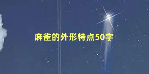 麻雀的外形特点50字
