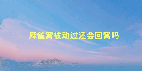 麻雀窝被动过还会回窝吗