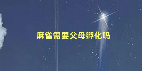 麻雀需要父母孵化吗