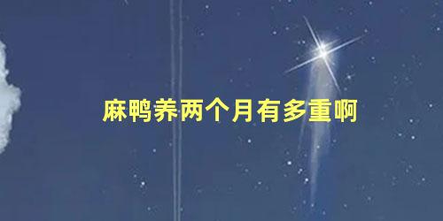 麻鸭养两个月有多重啊