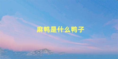 麻鸭是什么鸭子