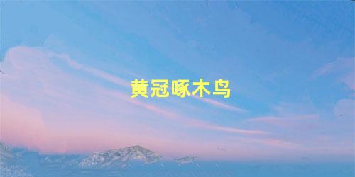 黄冠啄木鸟