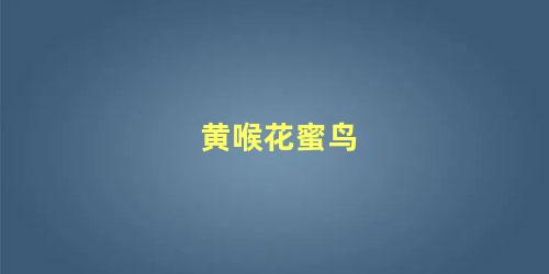黄喉花蜜鸟