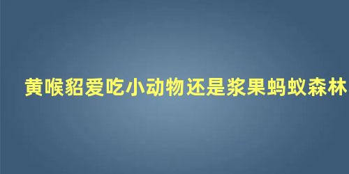 黄喉貂爱吃小动物还是浆果蚂蚁森林