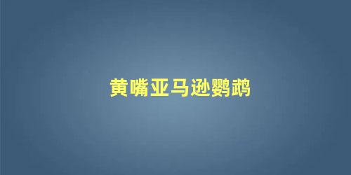 黄嘴亚马逊鹦鹉