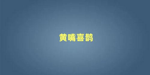 黄嘴喜鹊