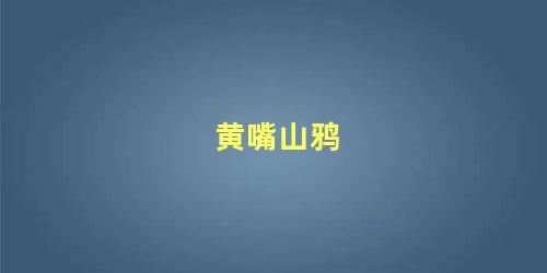 黄嘴山鸦