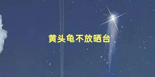 黄头龟不放晒台