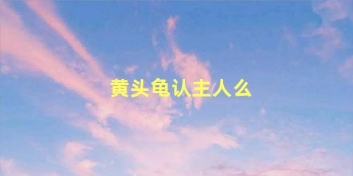 黄头龟认主人么