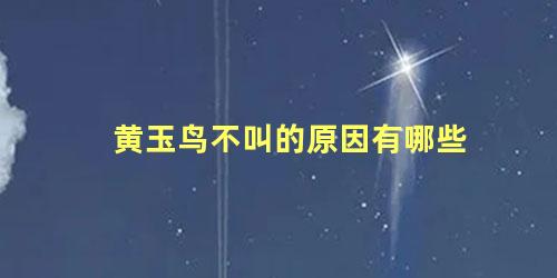 黄玉鸟不叫的原因有哪些