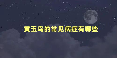 黄玉鸟的常见病症有哪些