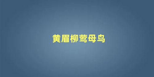 黄眉柳莺母鸟