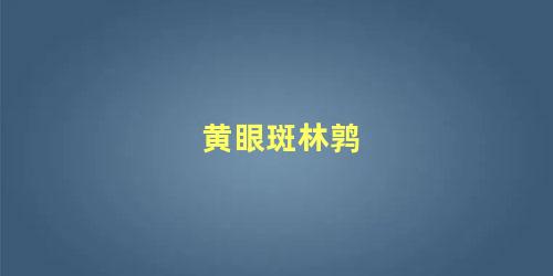 黄眼斑林鹑