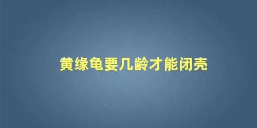 黄缘龟要几龄才能闭壳
