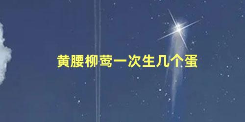 黄腰柳莺一次生几个蛋
