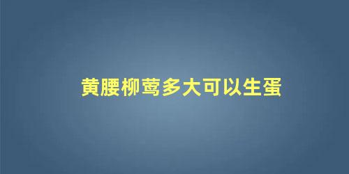 黄腰柳莺多大可以生蛋