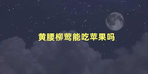 黄腰柳莺能吃苹果吗