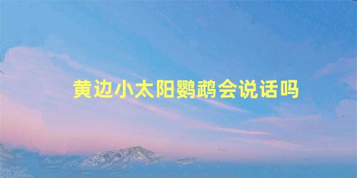 黄边小太阳鹦鹉会说话吗