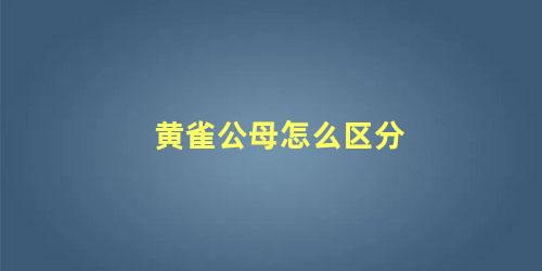 黄雀公母怎么区分