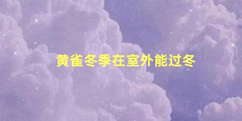 黄雀冬季在室外能过冬