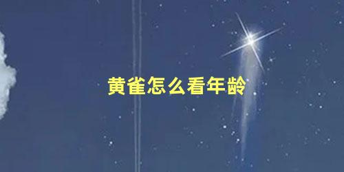 黄雀怎么看年龄