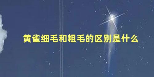 黄雀细毛和粗毛的区别是什么