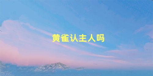 黄雀认主人吗