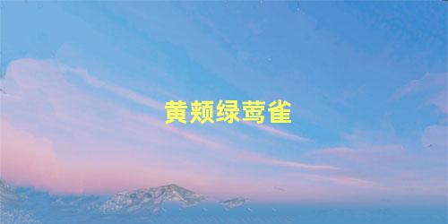 黄颊绿莺雀