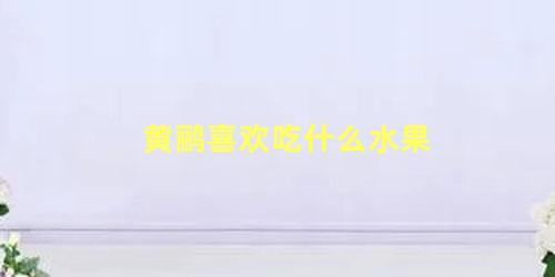 黄鹂喜欢吃什么水果