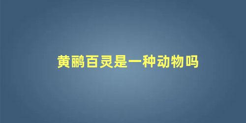 黄鹂百灵是一种动物吗