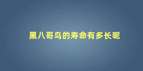 黑八哥鸟的寿命有多长呢
