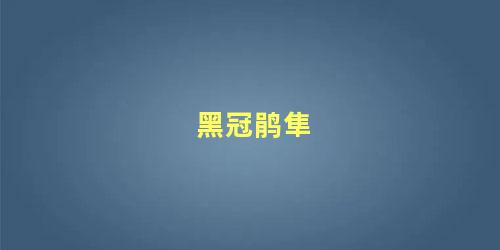 黑冠鹃隼