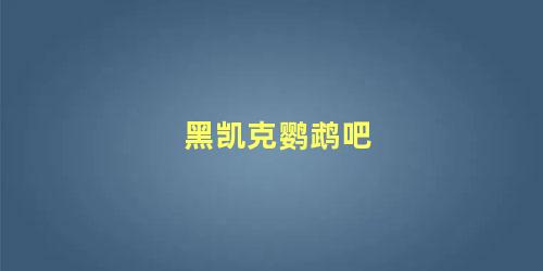 黑凯克鹦鹉吧