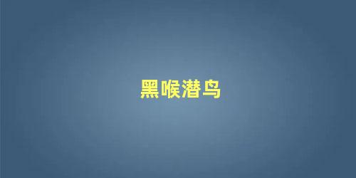 黑喉潜鸟