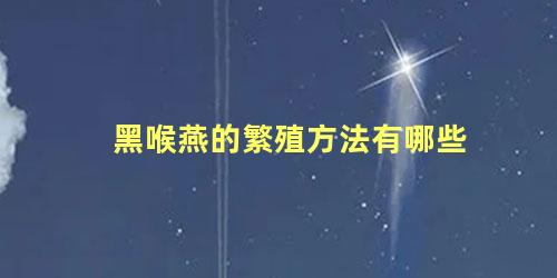 黑喉燕的繁殖方法有哪些
