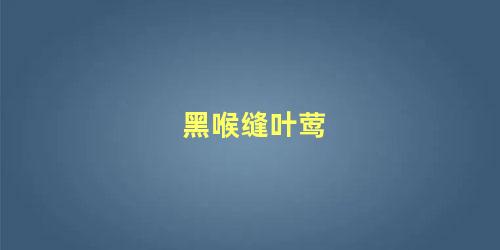 黑喉缝叶莺