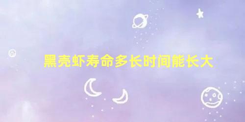 黑壳虾寿命多长时间能长大