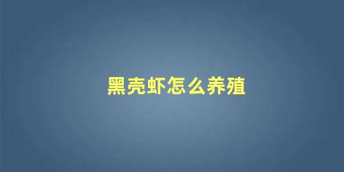 黑壳虾怎么养殖