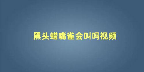 黑头蜡嘴雀会叫吗视频