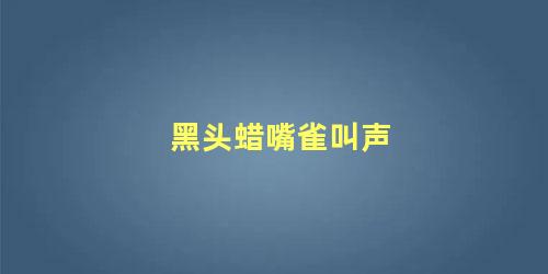 黑头蜡嘴雀叫声