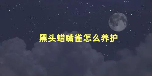 黑头蜡嘴雀怎么养护