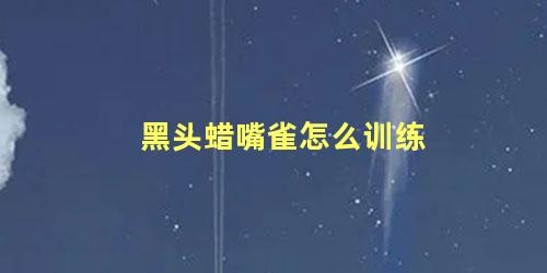 黑头蜡嘴雀怎么训练