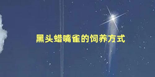 黑头蜡嘴雀的饲养方式